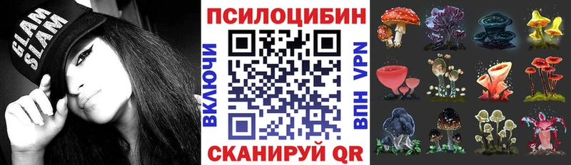 Галлюциногенные грибы GOLDEN TEACHER  блэк спрут ТОР  Владивосток  дарнет шоп 